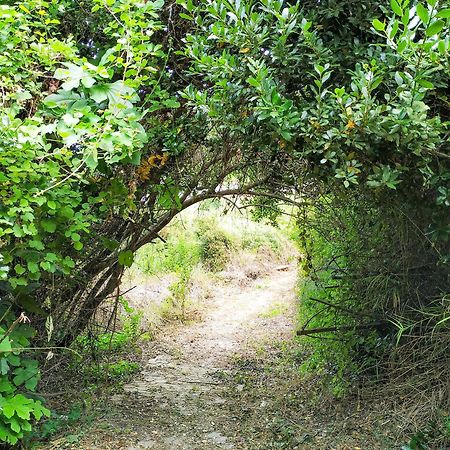 Villa Opali Dimos Kassandra Exteriör bild