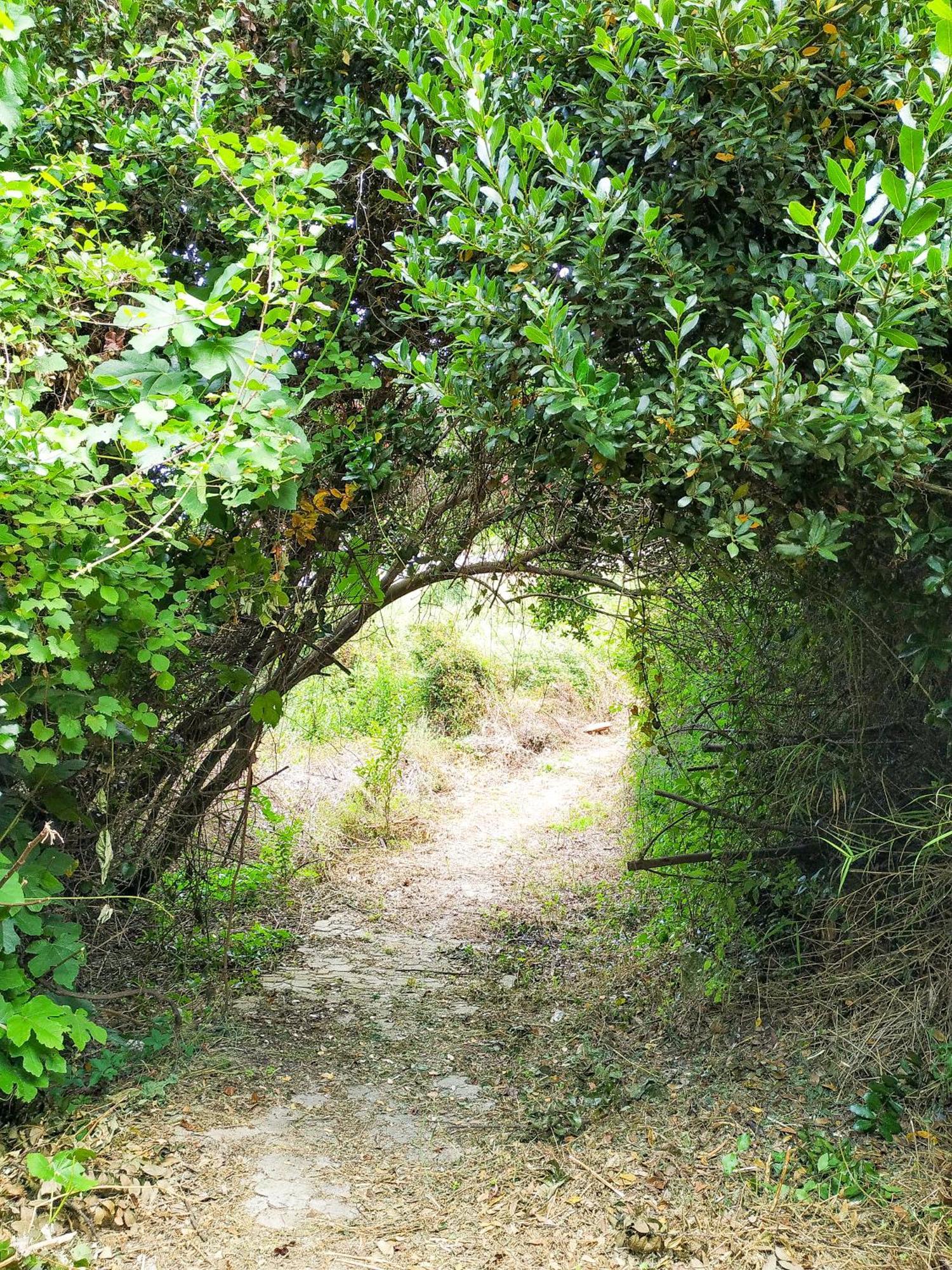 Villa Opali Dimos Kassandra Exteriör bild