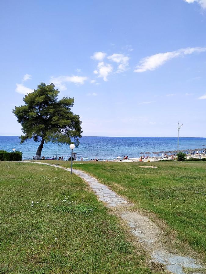 Villa Opali Dimos Kassandra Exteriör bild